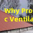 Why Proper Attic Ventilation Prevents Roof Rot